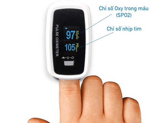 Màn hình OLED của máy đo nồng độ oxy trong máu và nhịp tim iMedicare IOM A6 